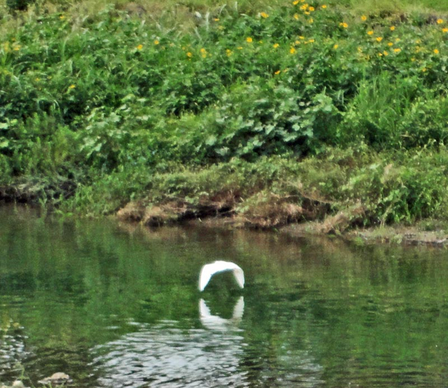 120916_sagi2 120916_sagi2