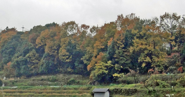 121123_heguri 121123_heguri