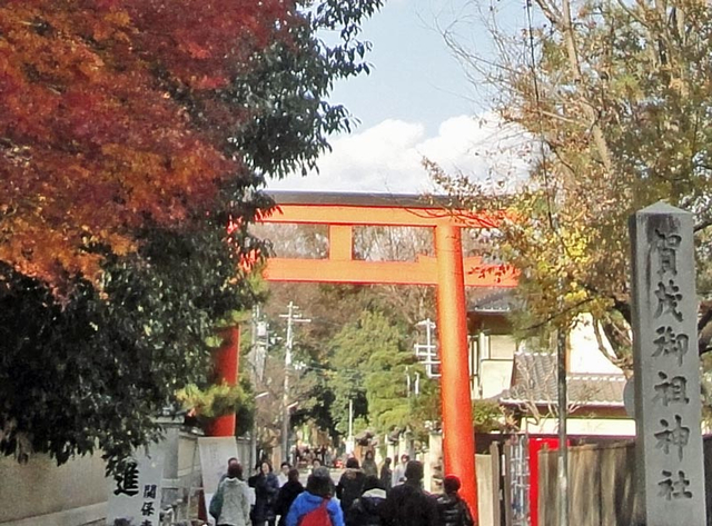 121209_simogamo 121209_simogamo