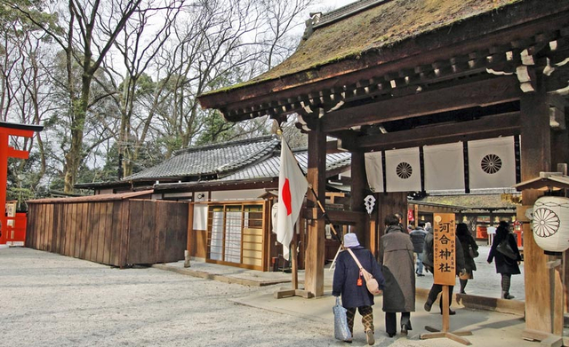 130102_kawai2 130102_kawai2