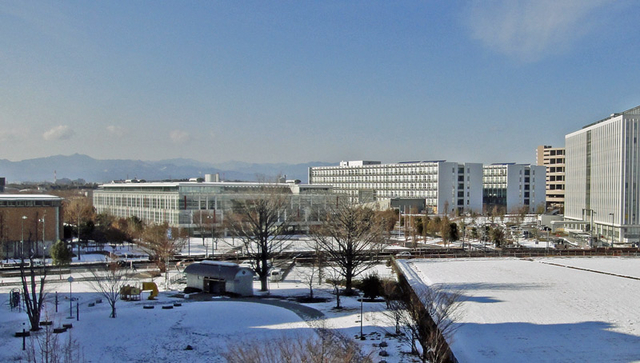 130115_yuki 130115_yuki