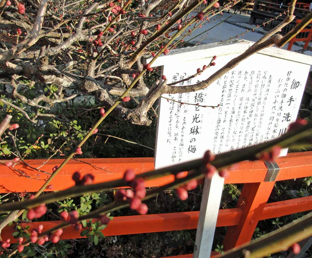130203_ume 130203_ume