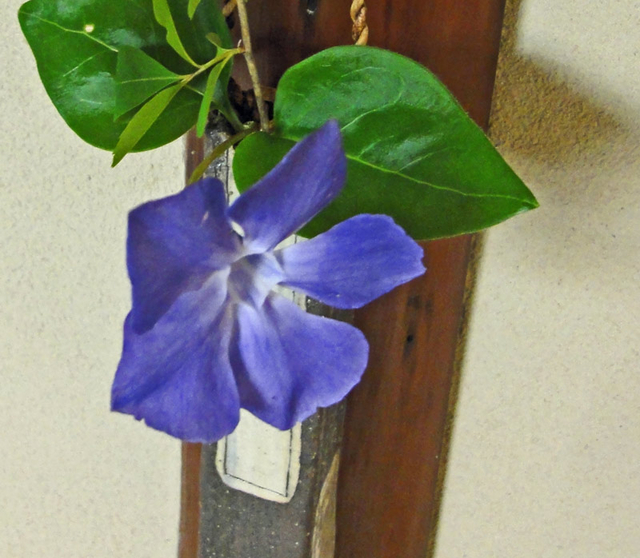 130407_hana2 130407_hana2