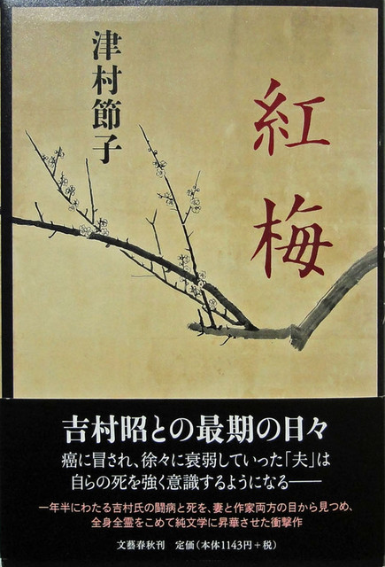 130427_koubai 130427_koubai