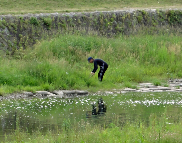 130602_kusakari 130602_kusakari