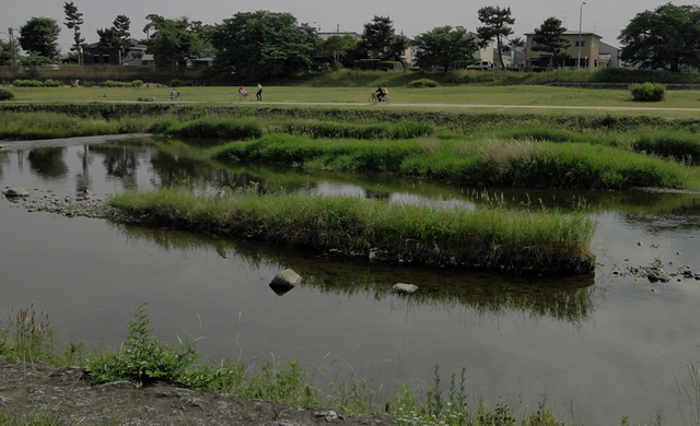 130602_nakasusima 130602_nakasusima